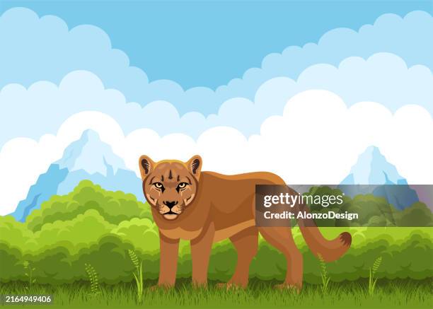 cougar character. mascot creative design. cougar in the forest. - panther tattoo stock illustrations