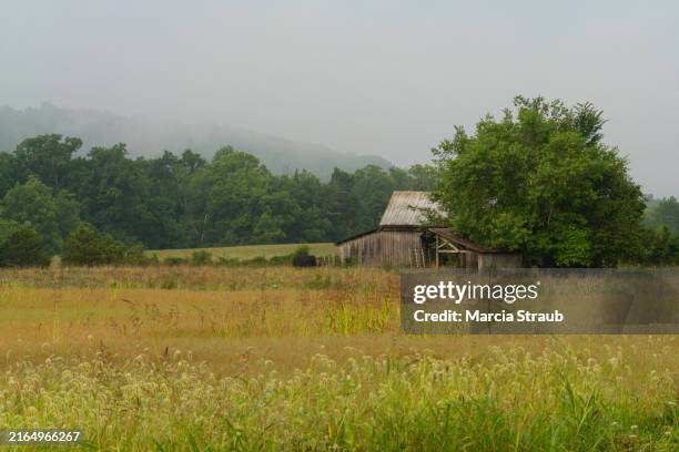 an old weathered barn in the fog - illinois countryside stock pictures, royalty-free photos & images