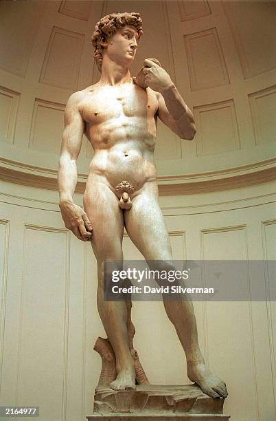 Michaelangelo's statue of "David" on display at the Galleria dell'Accademia in Florence, Italy, amid July 16, 2003 media reports of international...