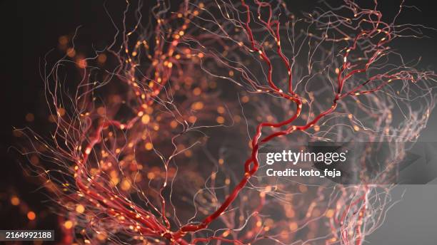 entlassen werden neurons - neuroimaging stock-fotos und bilder