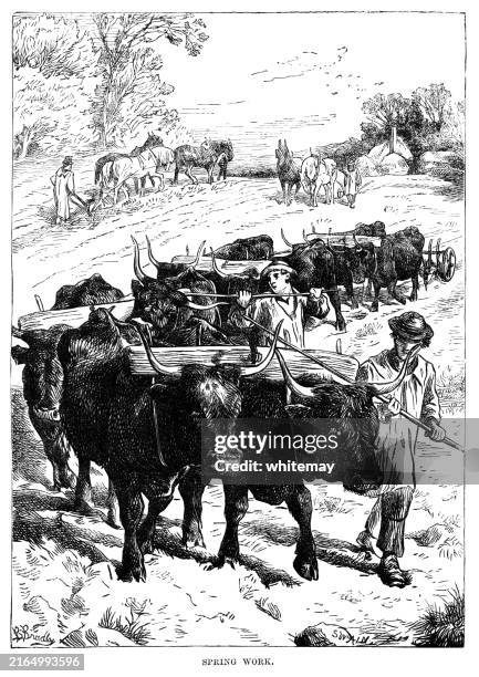 farm workers undertaking springtime work - ox cart stock illustrations