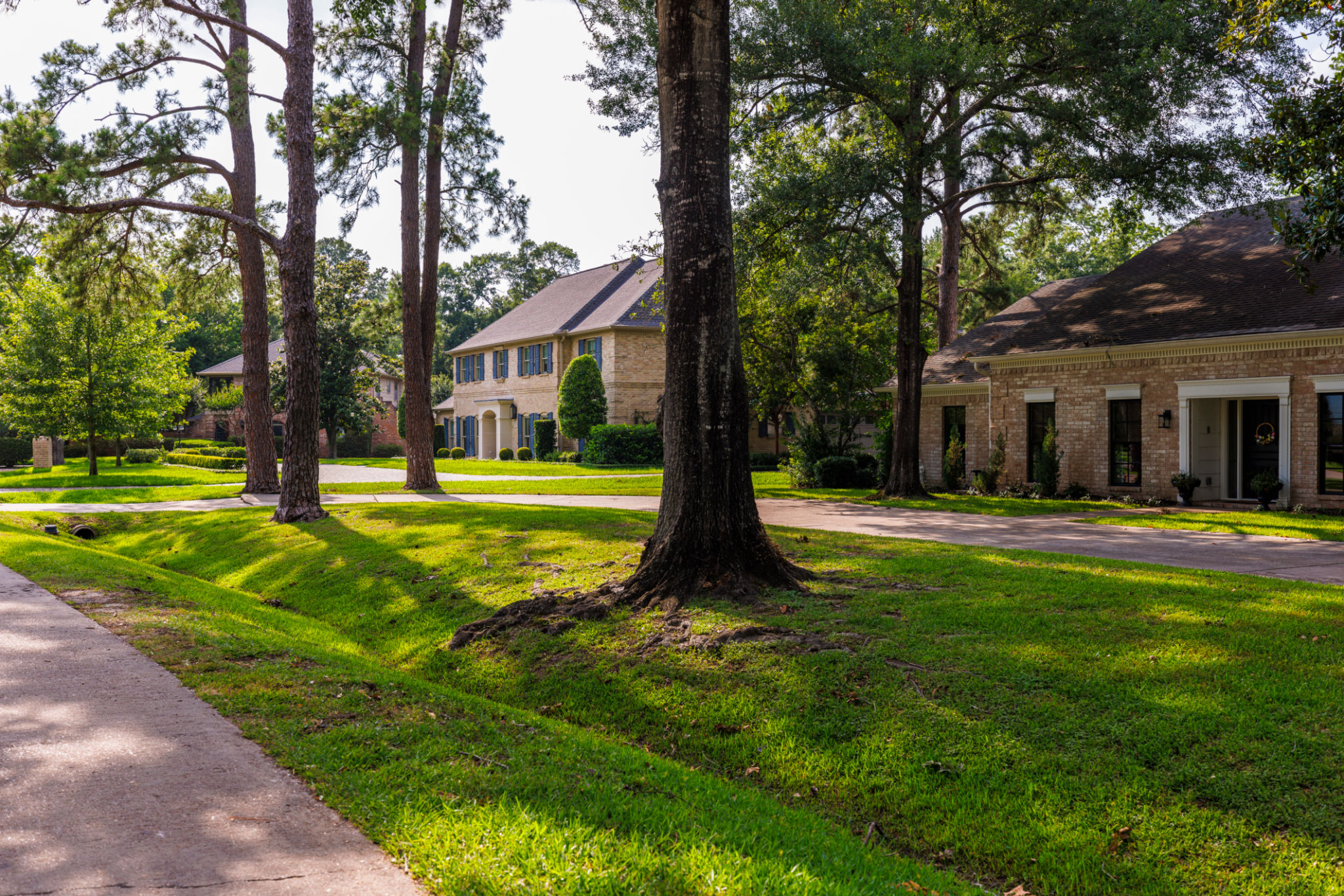 tanglewood homes