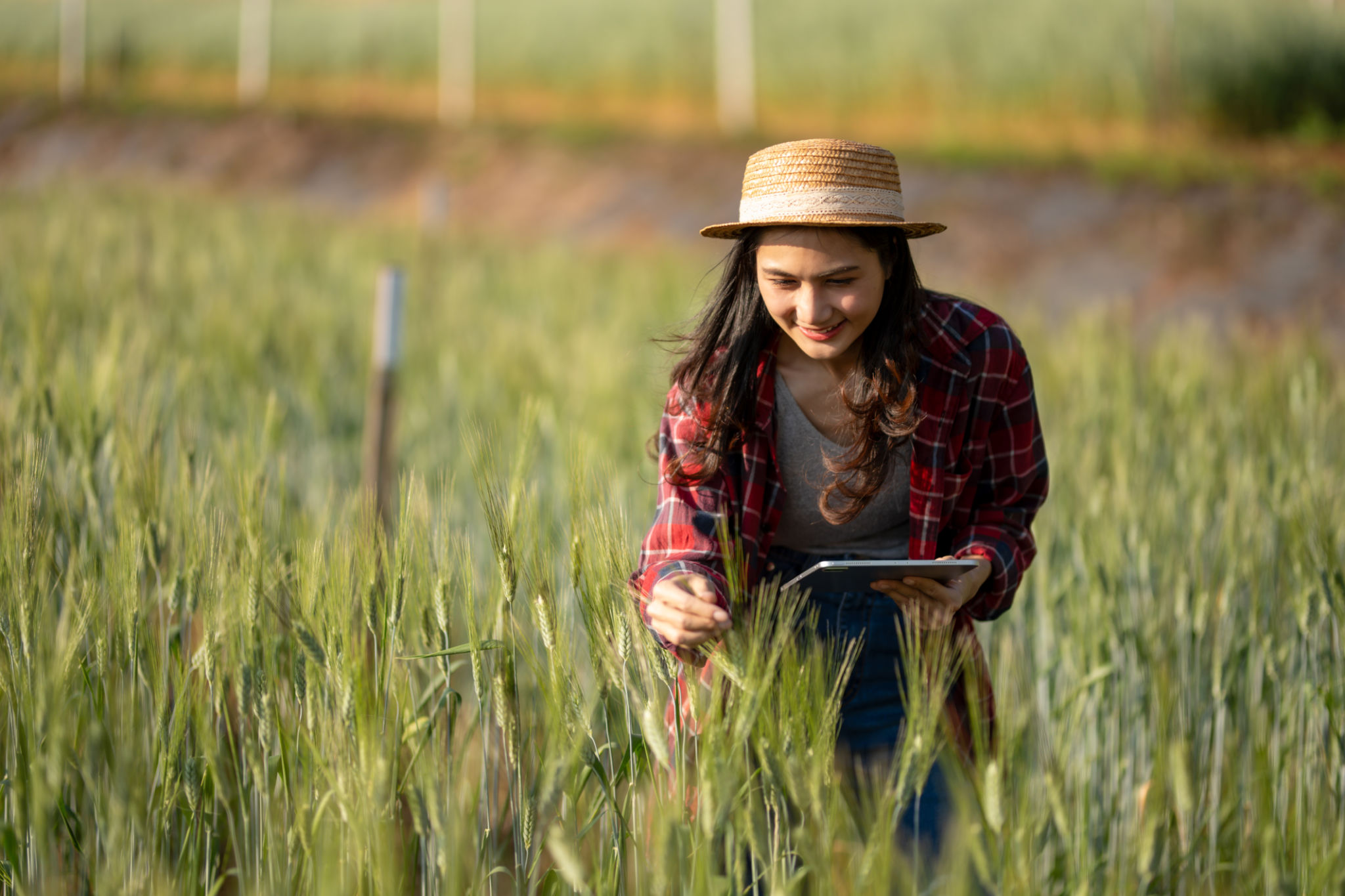 crop protection