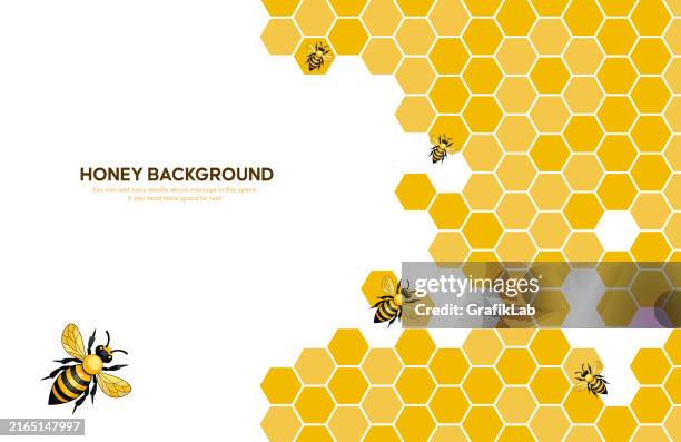 illustrazioni stock, clip art, cartoni animati e icone di tendenza di modello a nido d'ape con api su un'illustrazione di sfondo bianco - apicoltore