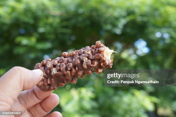 chocolate coated wafer - caramel block stock pictures, royalty-free photos & images