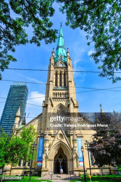 cathedral church facade tree - anglican stock pictures, royalty-free photos & images