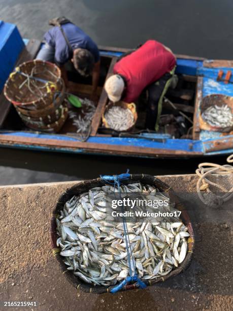 fresh fish from the ocean - fisherman stock pictures, royalty-free photos & images