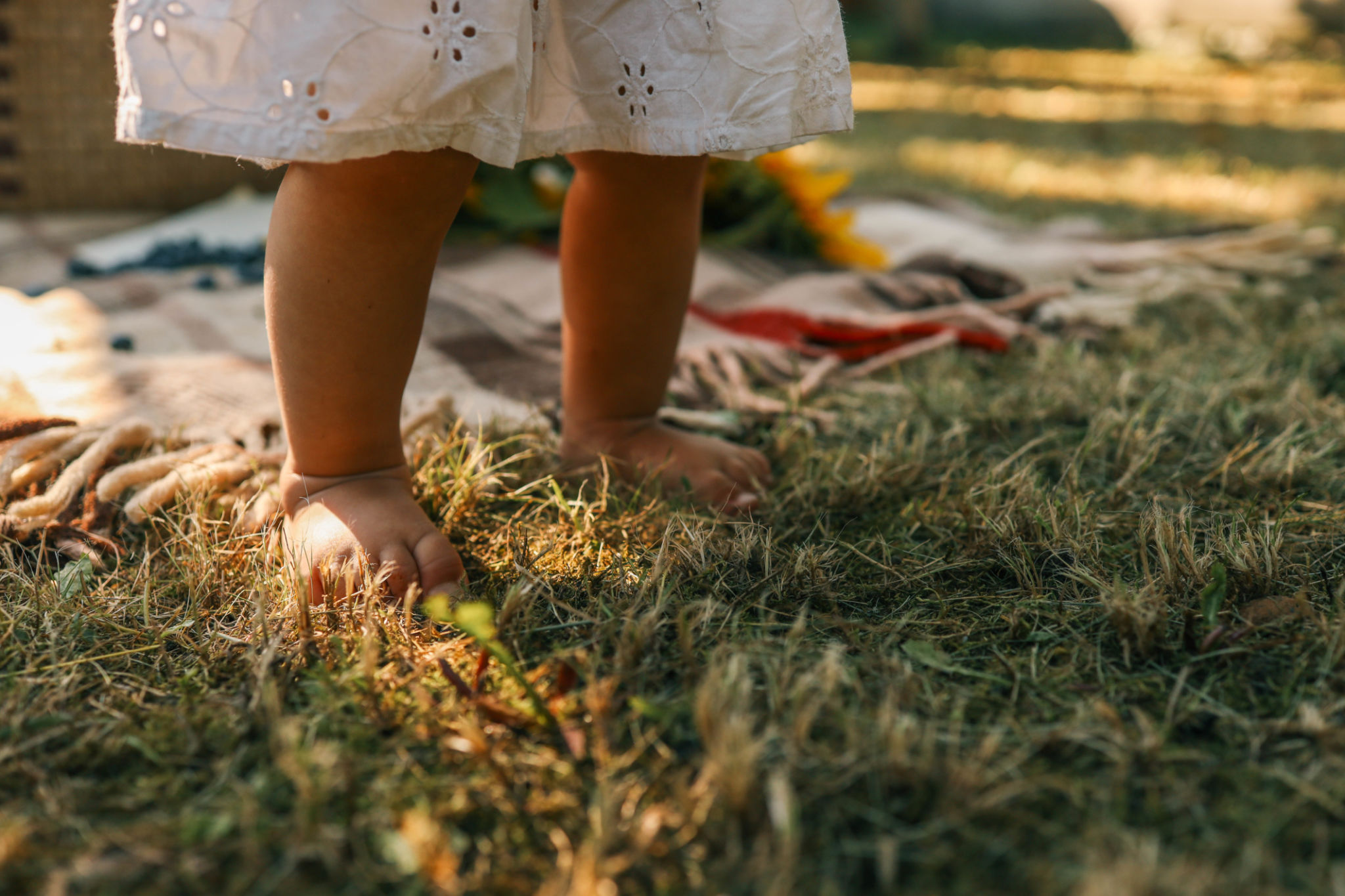 picnic details