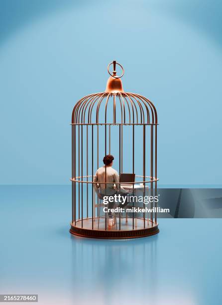 golden cage: the illusion of freedom in the digital age - birdcage stock pictures, royalty-free photos & images