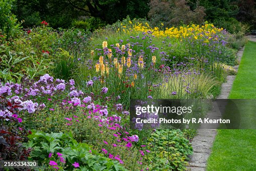 Herbaceous border at Sheffield Botanical Garden, South Yorkshire, England Herbaceous border at Sheffield Botanical Garden, South Yorkshire, England