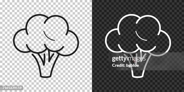 broccoli. icon for design on blank background - broccoli stock illustrations