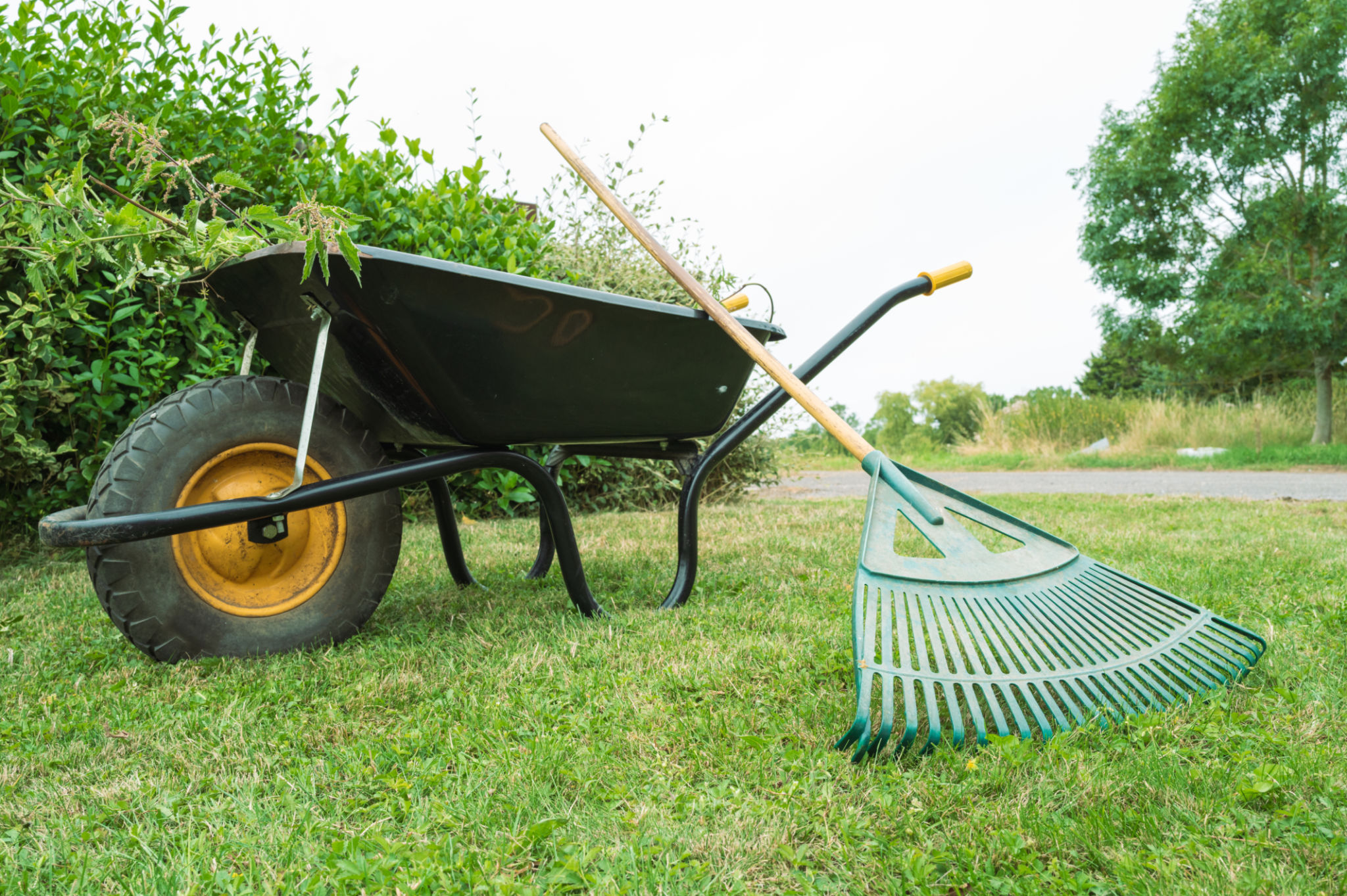spring cleanup