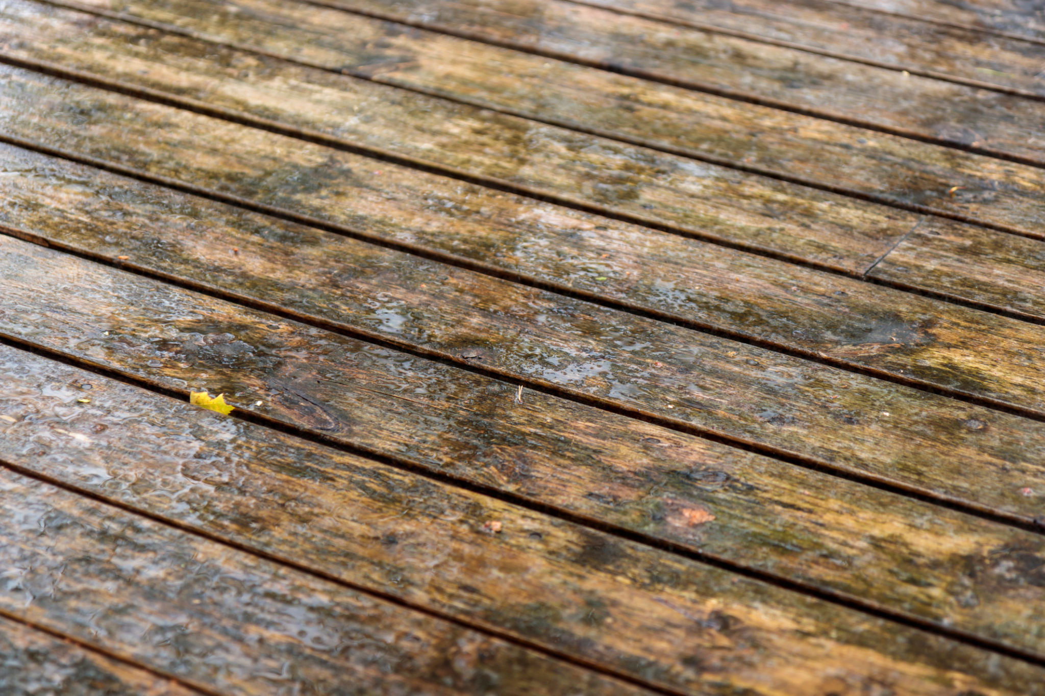 deck mold