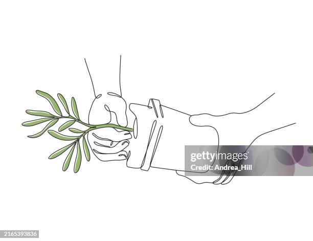hands planting seedling single line drawing with editable stroke and color elements - holding sapling stock illustrations