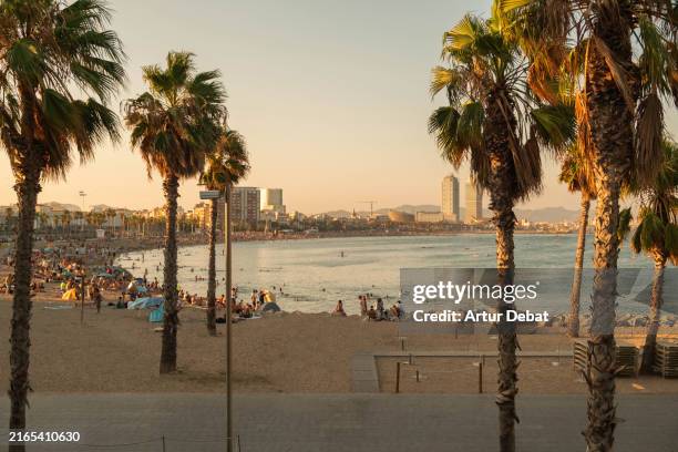 la barceloneta beach crowded with people during summer sunset - half moon stock pictures, royalty-free photos & images