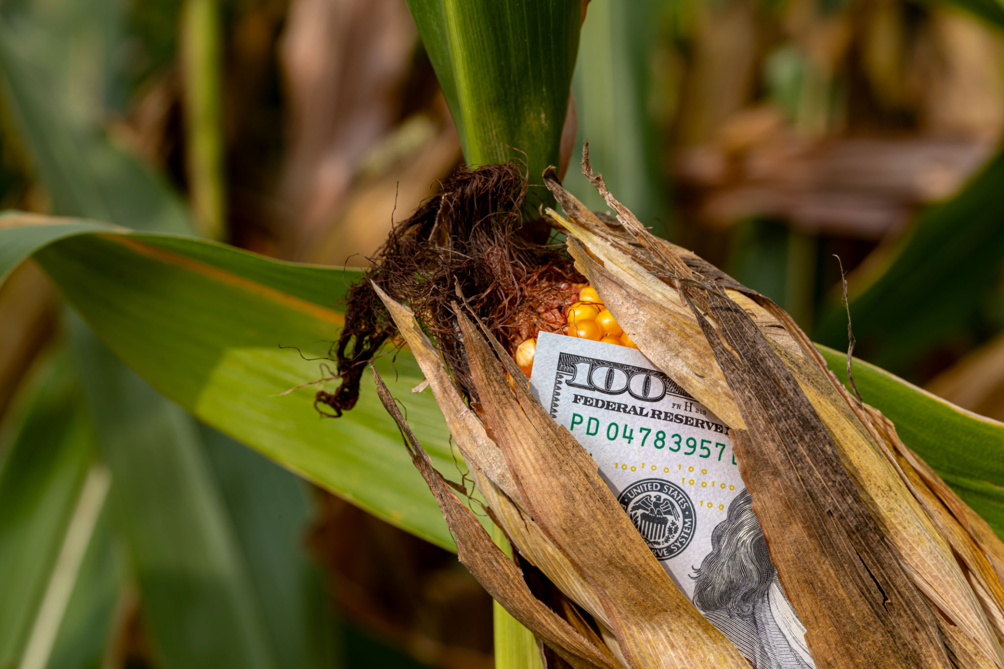 agricultural inputs