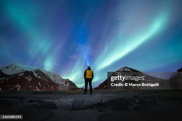 person admiring the northern lights (aurora borealis) in lofoten, norway - lofoten stock pictures, royalty-free photos & images