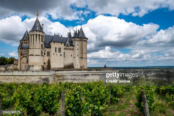 saumur. france - saumur stock pictures, royalty-free photos & images