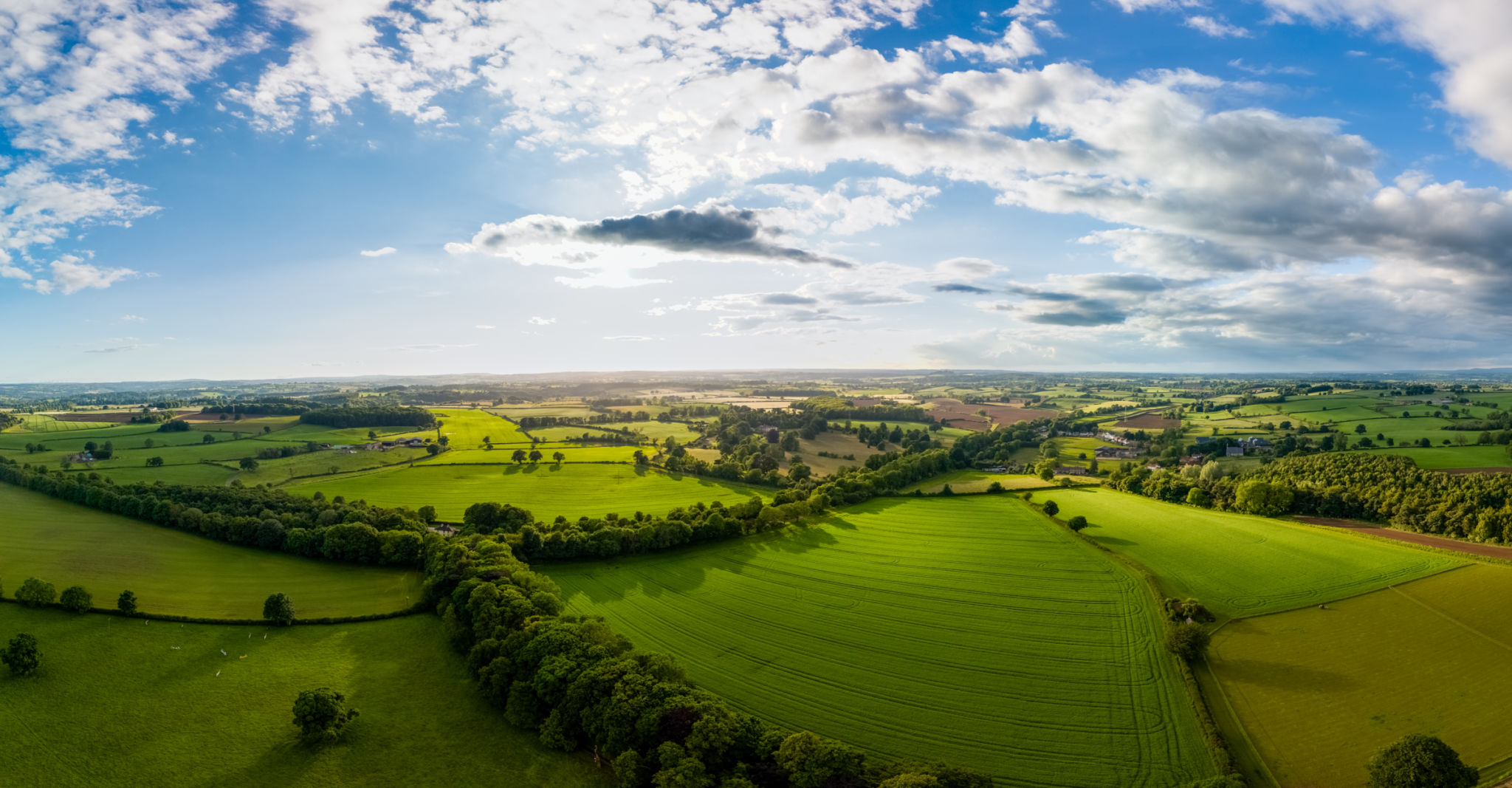 green farming