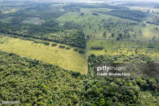 deforested area in amazon rainforest - brazil - amazon rainforest deforestation brazil stock pictures, royalty-free photos & images