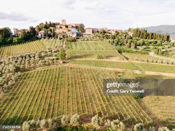 vineyards in chianti, tuscany. - chianti region stock pictures, royalty-free photos & images