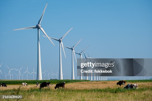 Graceful Wind Turbines Towering Over Pastoral Fields In The Netherlands Graceful Wind Turbines Towering Over Pastoral Fields In The Netherlands