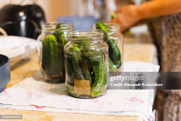 canned food concept. fermented, pickled, marinated preserved cucumbers. organic vegetables in jars with spice and herbs on kitchen table. homemade cunning - pepinillo fotografías e imágenes de stock