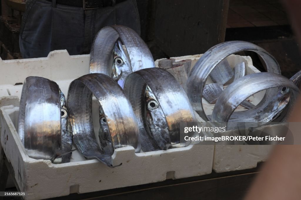Silver scabbardfish at the historic Catania fish market, Catania, Sicily, Italy, Europe