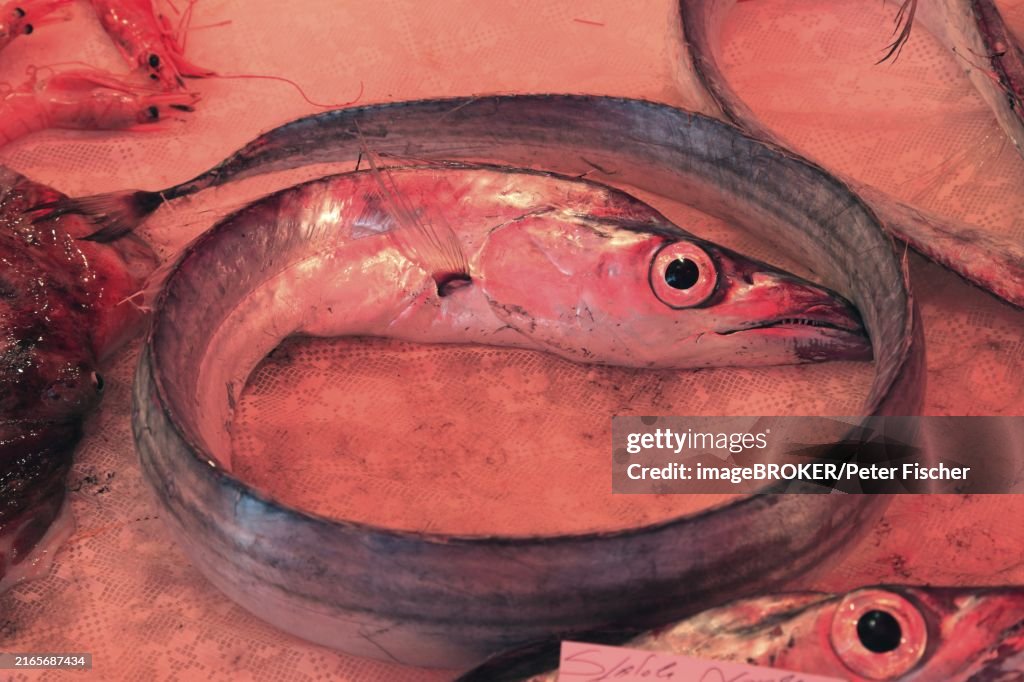 Silver scabbardfish at the historic Catania fish market, Catania, Sicily, Italy, Europe