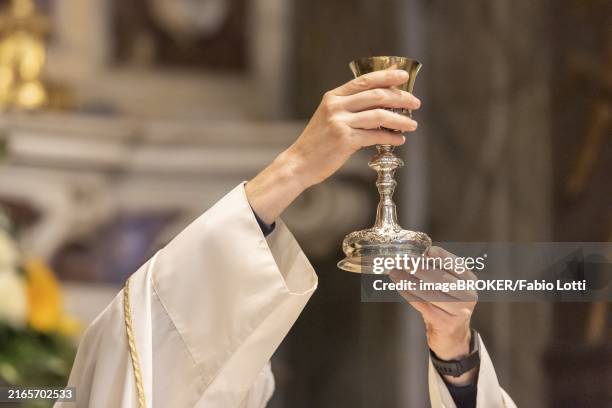 the elevation of the goblet with the sacramental wine during the catholic liturgy of the eucharist - chalice stock pictures, royalty-free photos & images