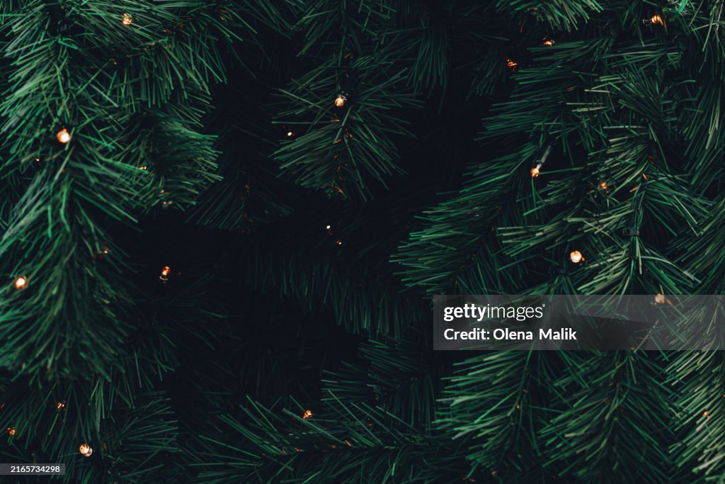 Green fir tree background. Christmas tree branches