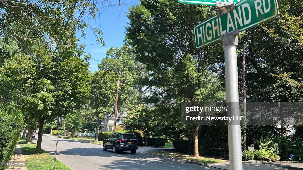 Beetle-infested ash trees damaged by emerald ash borer, an invasive beetle from Asia