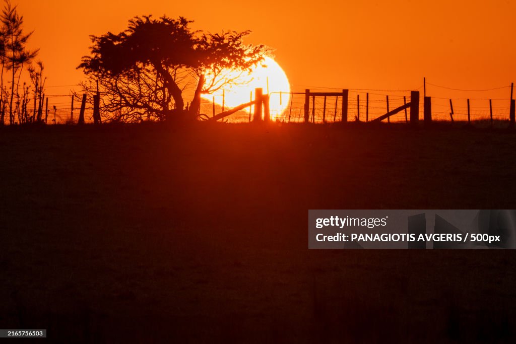 Silhouette of trees against sky during sunset