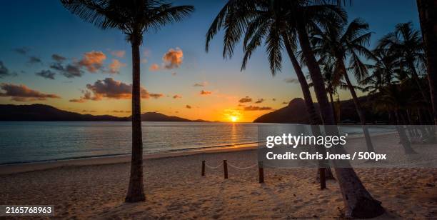scenic view of beach during sunset - palm tree on beach stock pictures, royalty-free photos & images