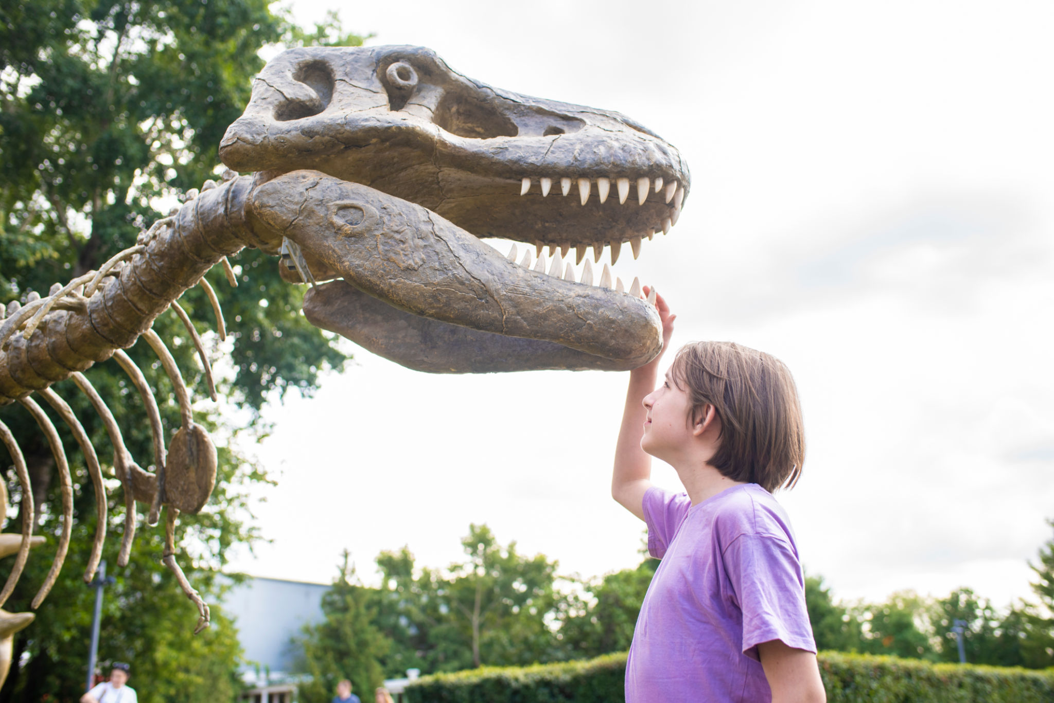 children dinosaur exhibit