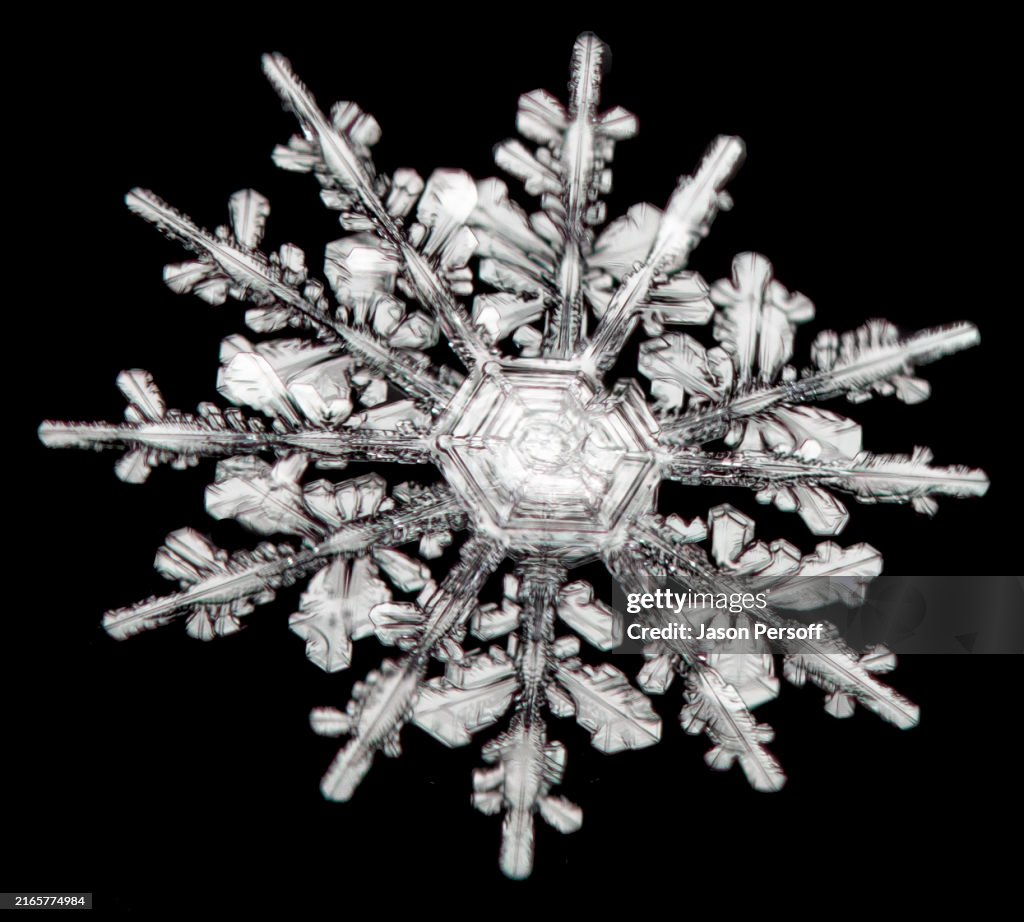 Intricate snowflake with hexagonal symmetry and delicate ice crystals against a dark background