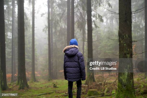 a person in a blue beanie and black jacket stands facing tall misty trees in a peaceful forest setting - wilderness stock pictures, royalty-free photos & images