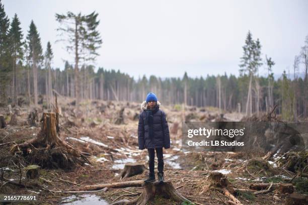 young child standing on a tree stump in a deforested area wearing a blue hat and black jacket - ontbossing stockfoto's en -beelden