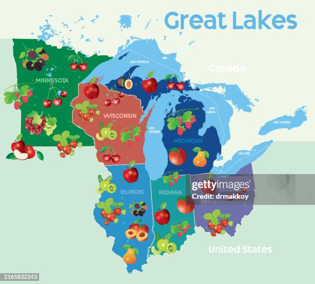 illustrazioni stock, clip art, cartoni animati e icone di tendenza di mappa dei grandi laghi e dei frutti - midwest