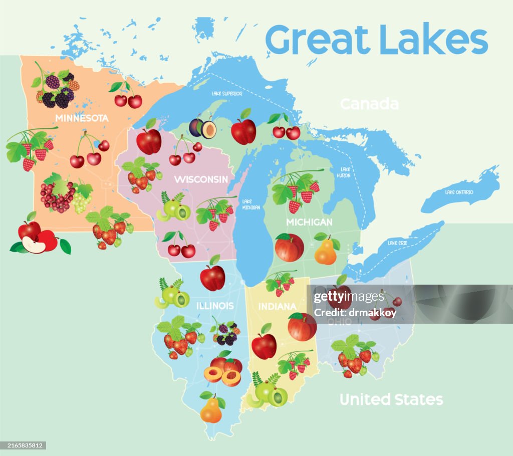 Map of Great Lakes and Fruits