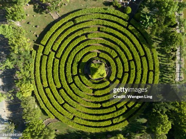 maze shaped park - labirinto imagens e fotografias de stock