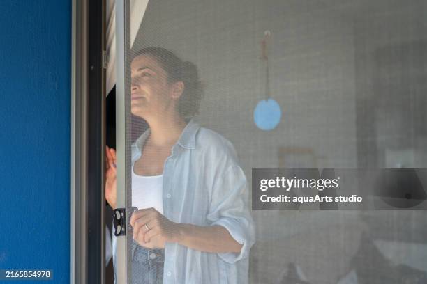 protection against insects with mosquito net wire - mosquito net stock pictures, royalty-free photos & images