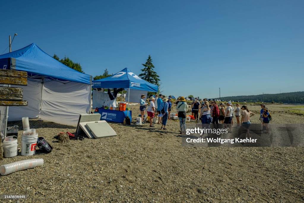 Volunteers from the Surfrider Foundation, an organization to...