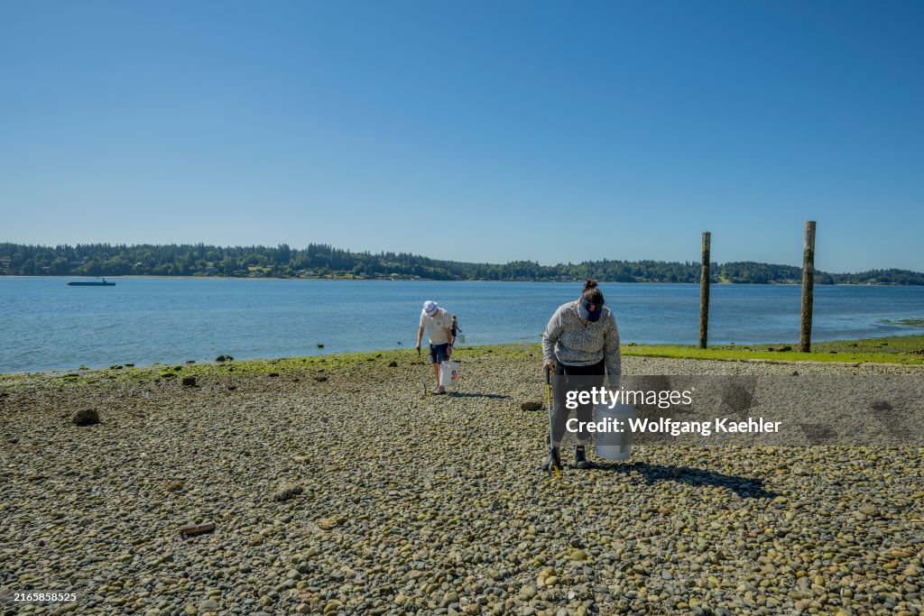 Volunteers from the Surfrider Foundation, an organization to...