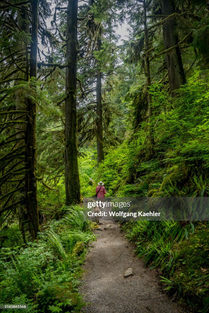 A woman (released) with a miniature golden doodle hiking the...
