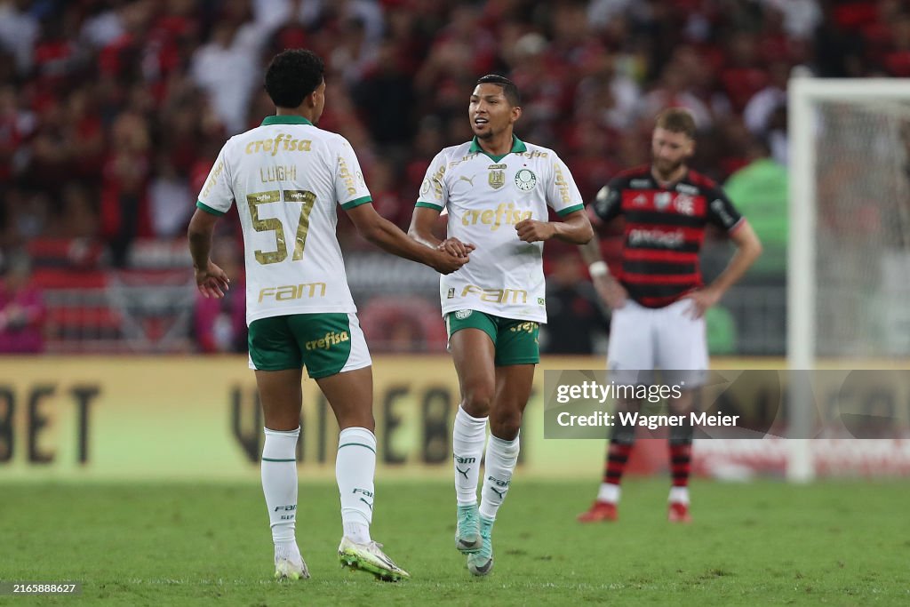 Flamengo v Palmeiras - Brasileirao 2024