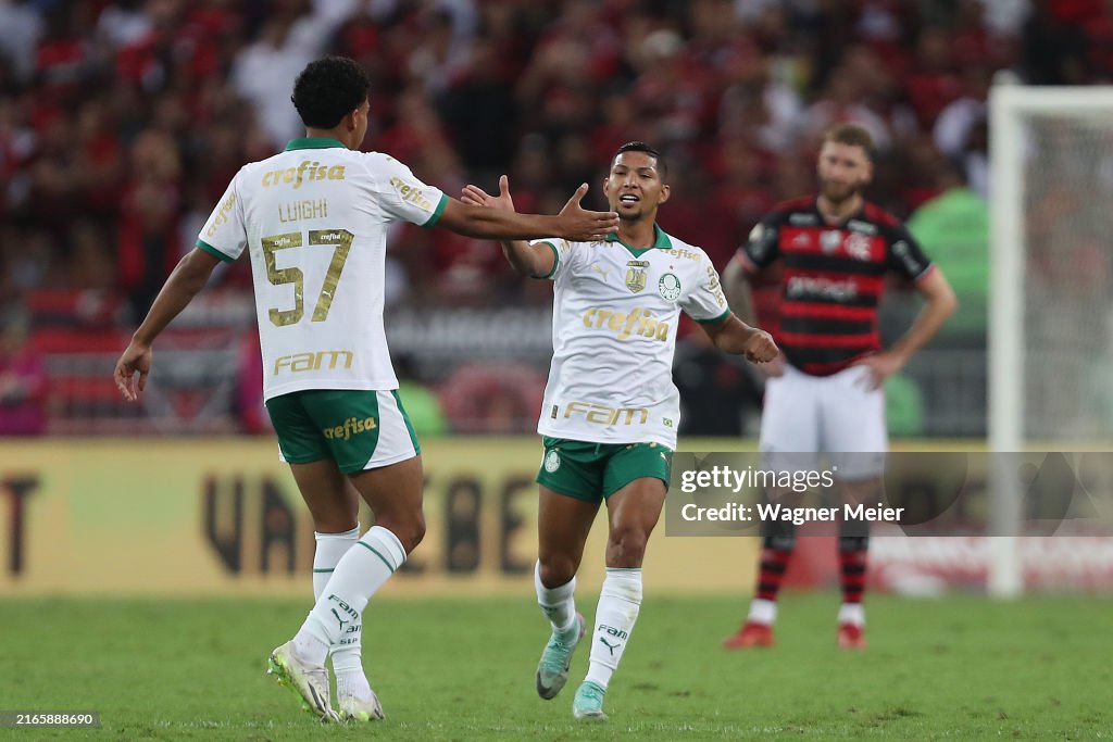 Flamengo v Palmeiras - Brasileirao 2024