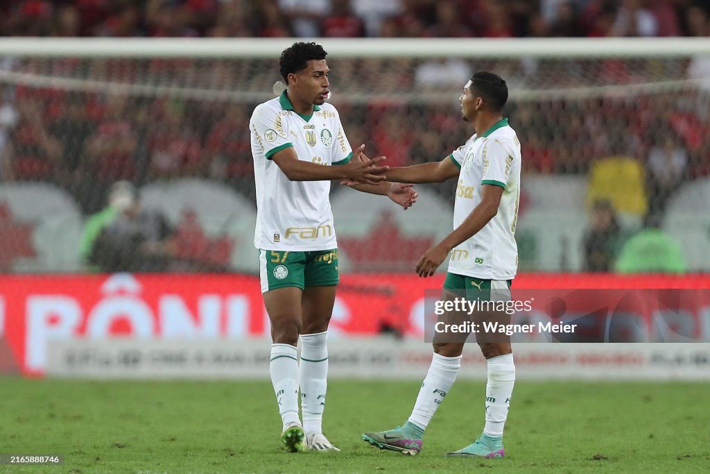 Flamengo v Palmeiras - Brasileirao 2024