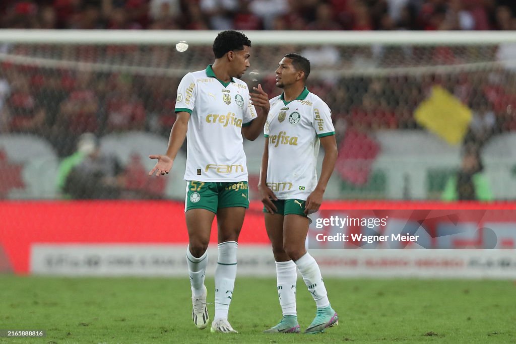 Flamengo v Palmeiras - Brasileirao 2024