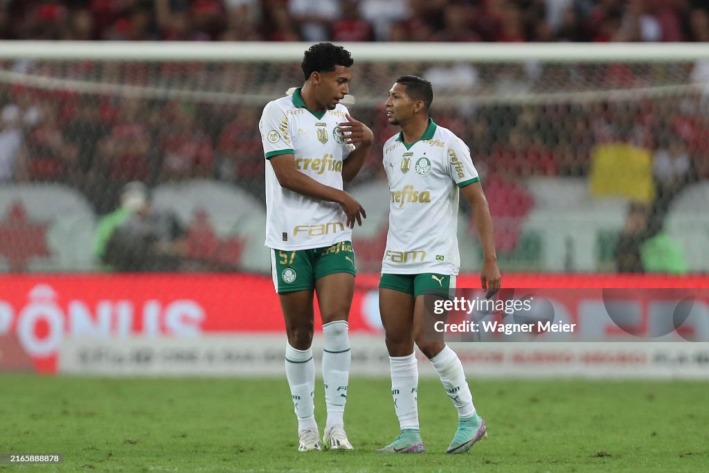 Flamengo v Palmeiras - Brasileirao 2024
